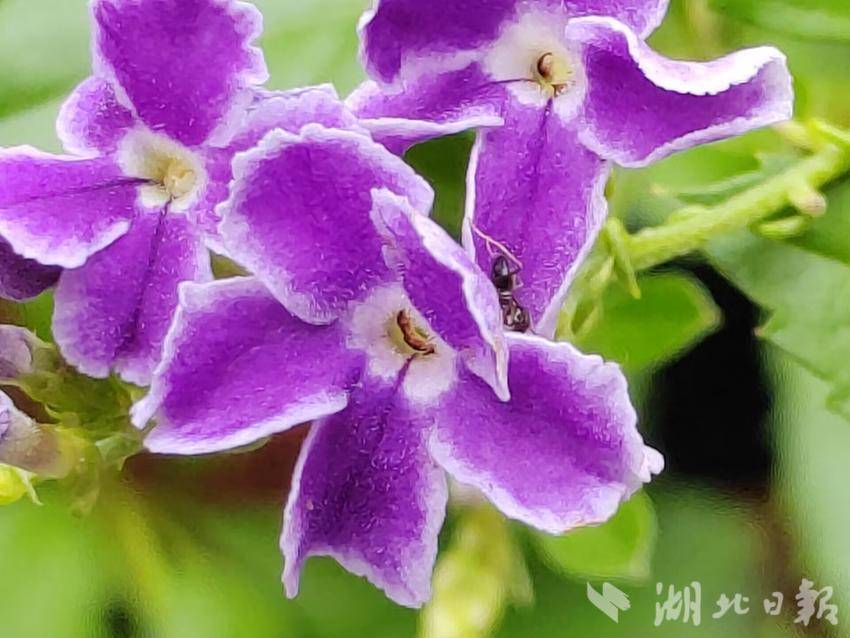 注册送钱的白菜网站